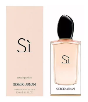 perfume si giorgio armani edp 100ml feminino
